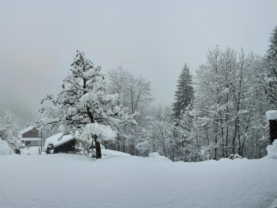 In Grindelwald/BE sind über Nacht etwas mehr als 20cm Schnee gefallen.