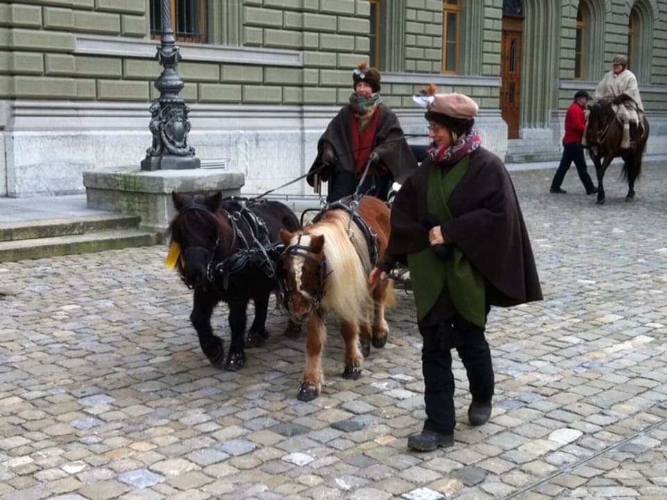 Zwergponys vor einem Wagen