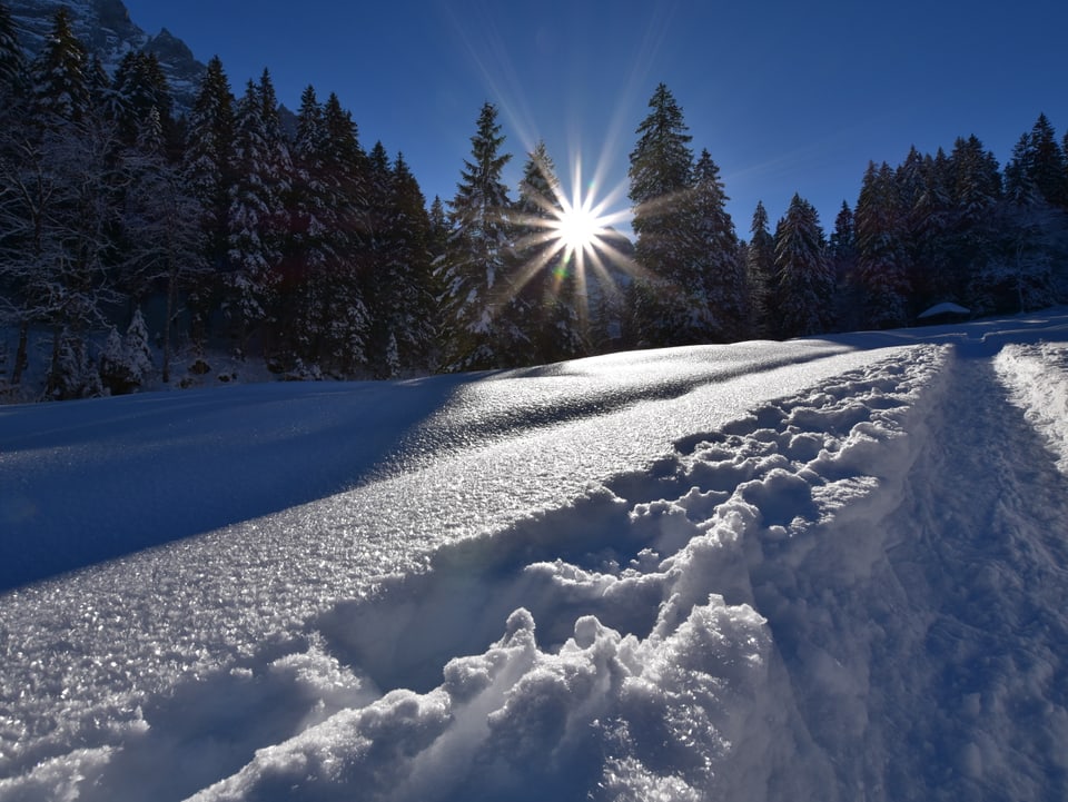 Im Tiefschnee ist ein Winterweg zu sehen. Durch die Bäumen am Horizont strahlt die Sonne.