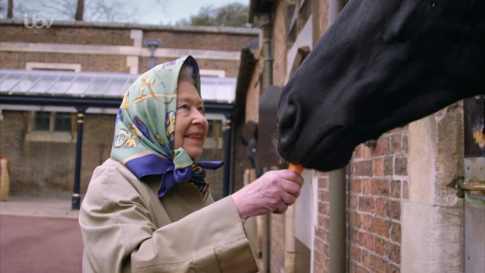 Elizabeth füttert ein Pferd mit Karotten.