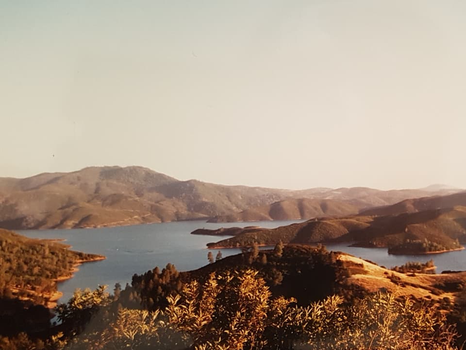 Das Bild zeigt eine Aussicht auf den See. 