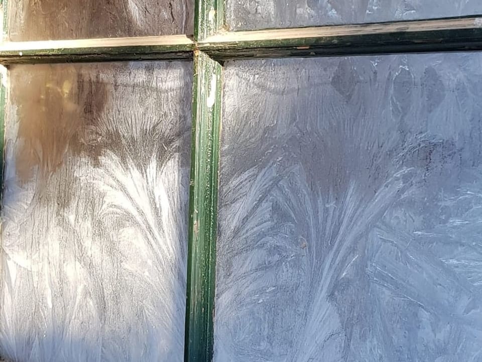 Eisblumen an Fensterscheibe