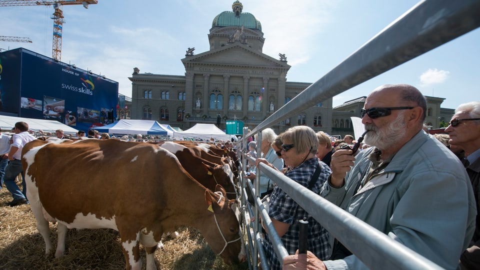 Viehmarkt vor dem Bundeshaus