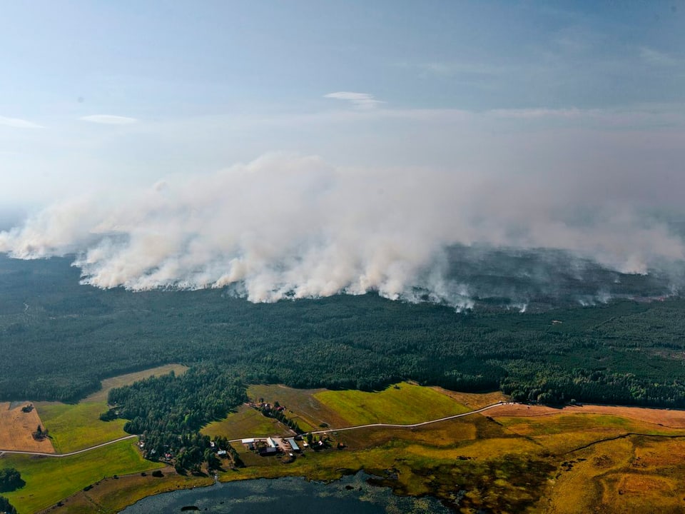 Luftaufnahme eines Waldgebiets, über dem dichter Rauch aufsteigt.
