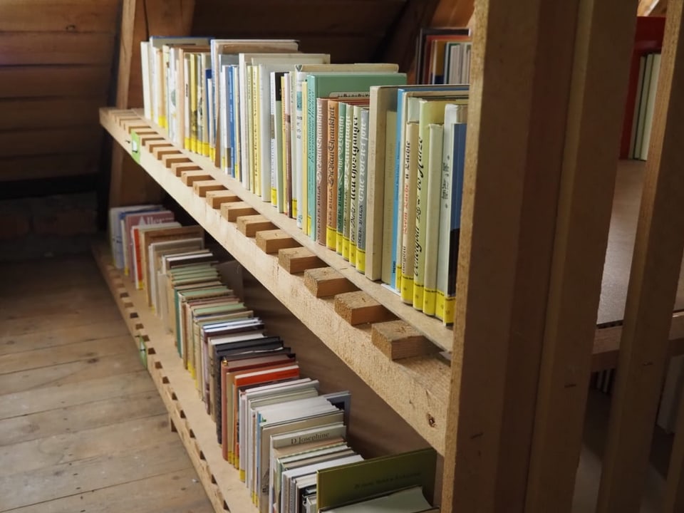 Bücher in einem Bücherregal
