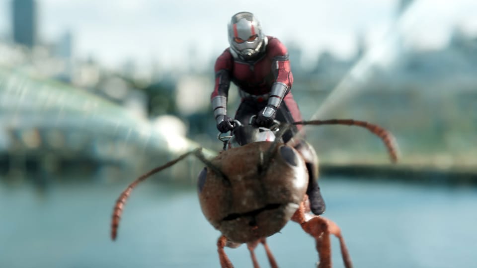 … oder dem Marvel-Streifen «Ant-Man and the Wasp» bei SRF zwei.
