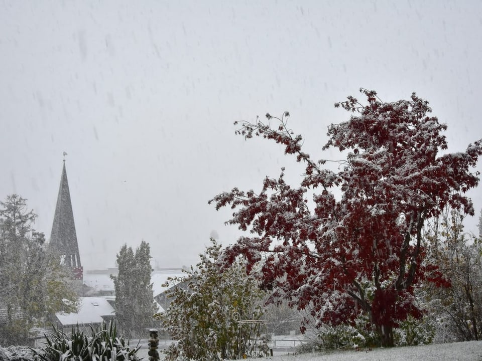 Zäziwil/BE Winterlandschaft