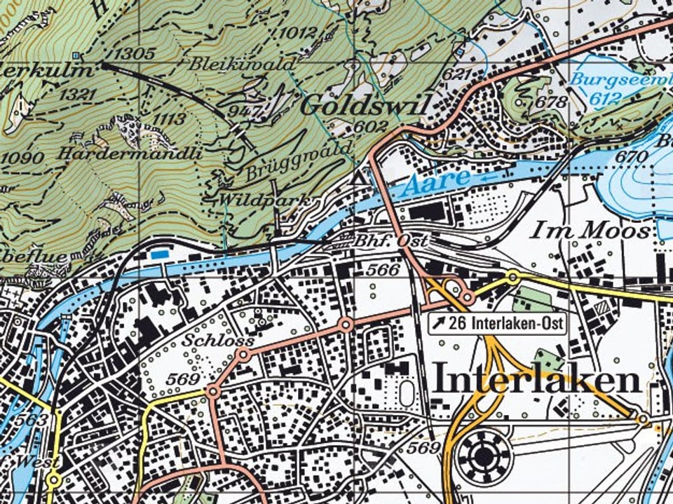 Schweizer Landeskarte von der Region Interlaken. 