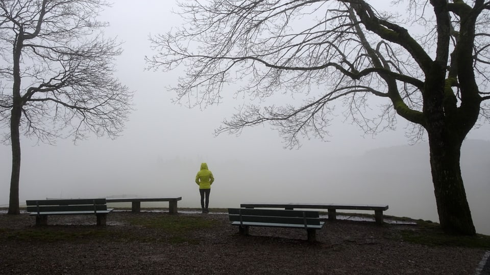 Bild vom Gurten oberhalb von Bern. Zwei Bäume und eine Person, im Hintergrund viel Nebelgrau.
