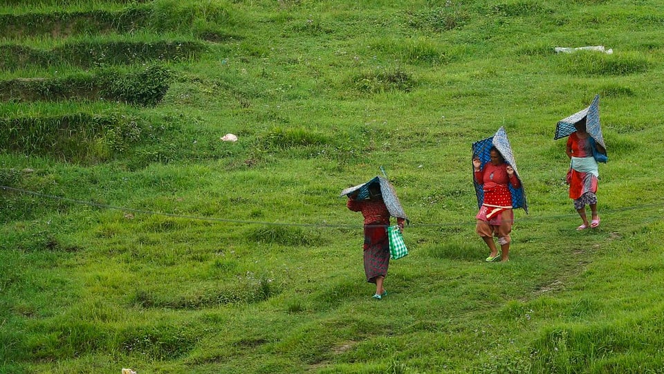 Drei Bauern auf einer Wiese mit Regenschutz überm Kopf.