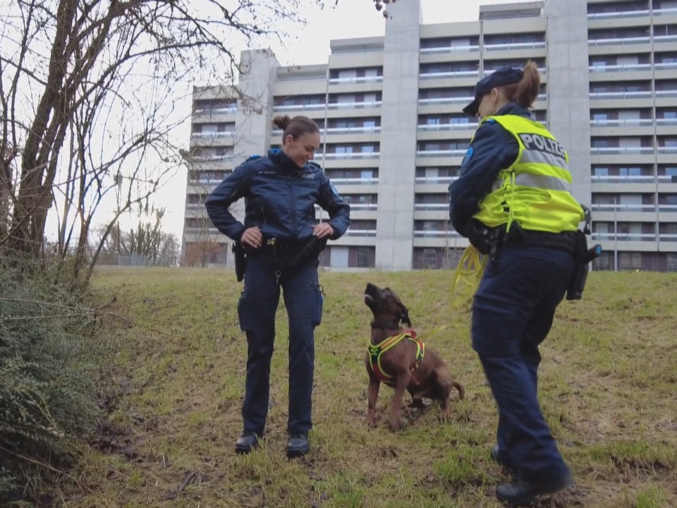 Hund und Polizistinnen