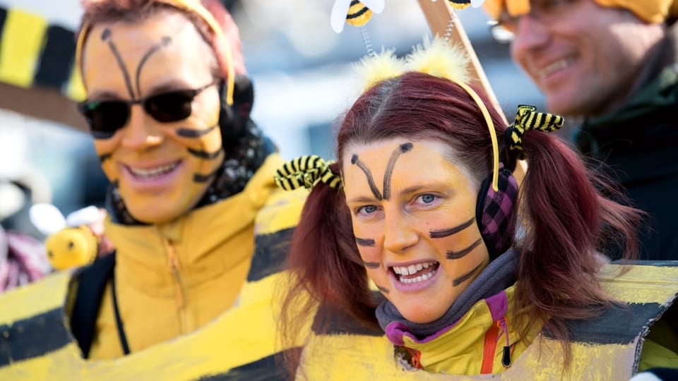 Demonstranten als Bienen verkleidet