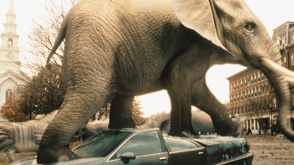 Elefant trampelt über Auto.