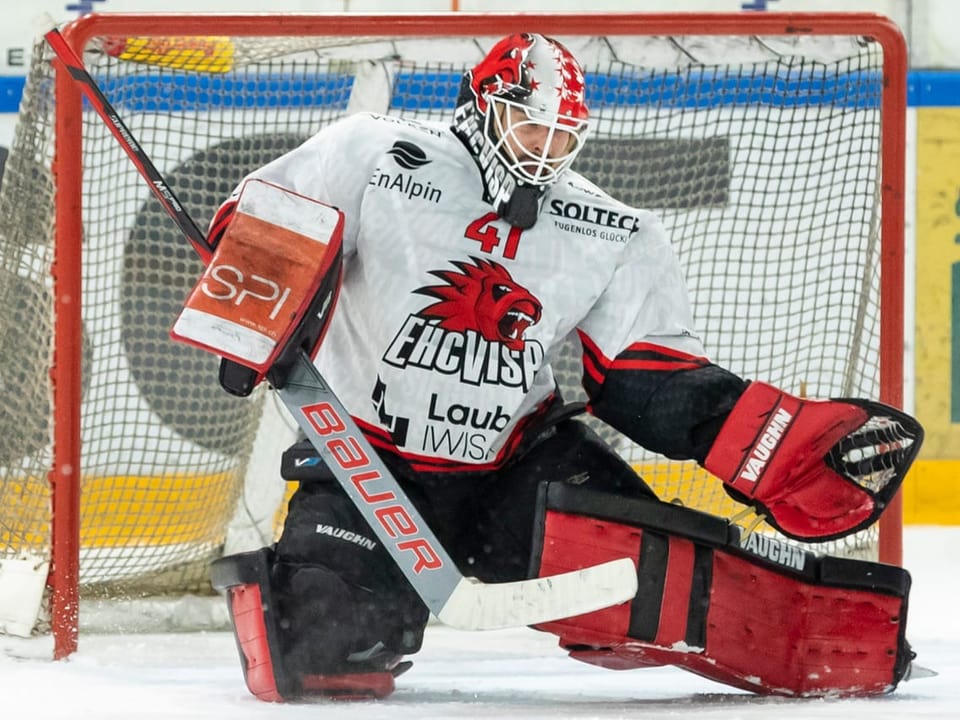 Ice hockey goalkeeper