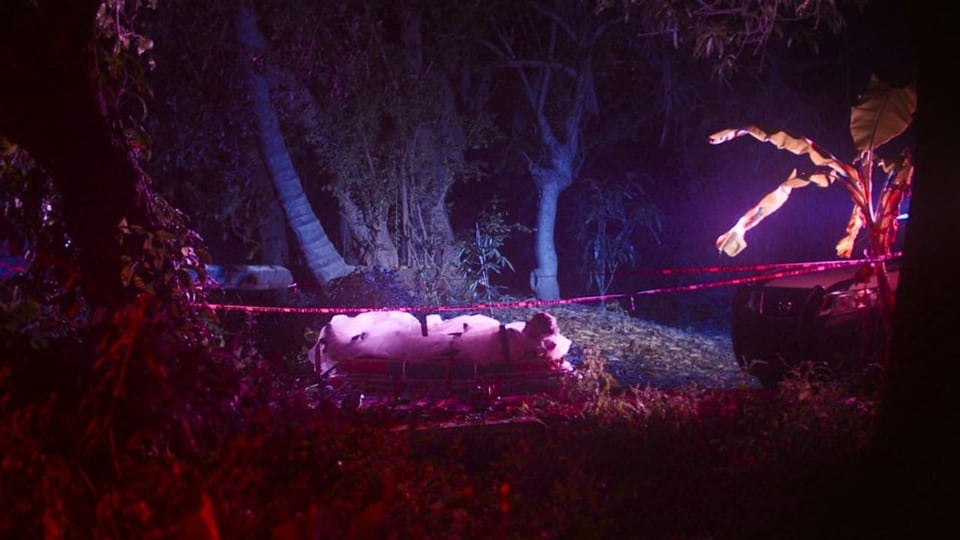 Dunkler Wald in violettes Licht getaucht, Absperrband um erleuchteten Körper in weissen Plastik gehüllt.