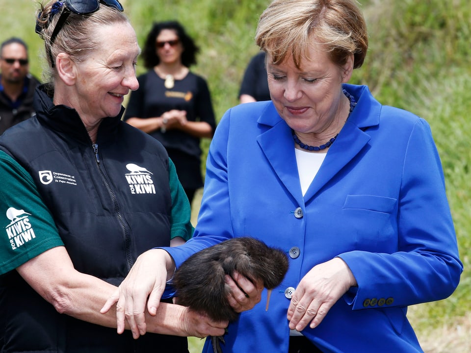 Angela Merkel betrachtet einen Kiwi-Vogel.
