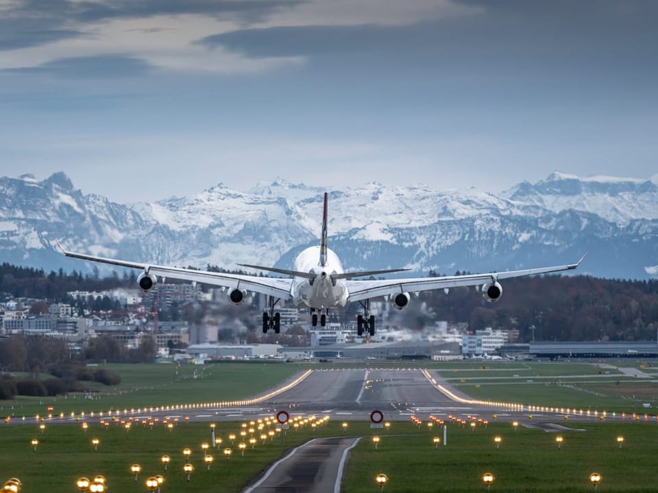 Blick über grüne Wiesen in die weissen Bergen mit FLugzeug.