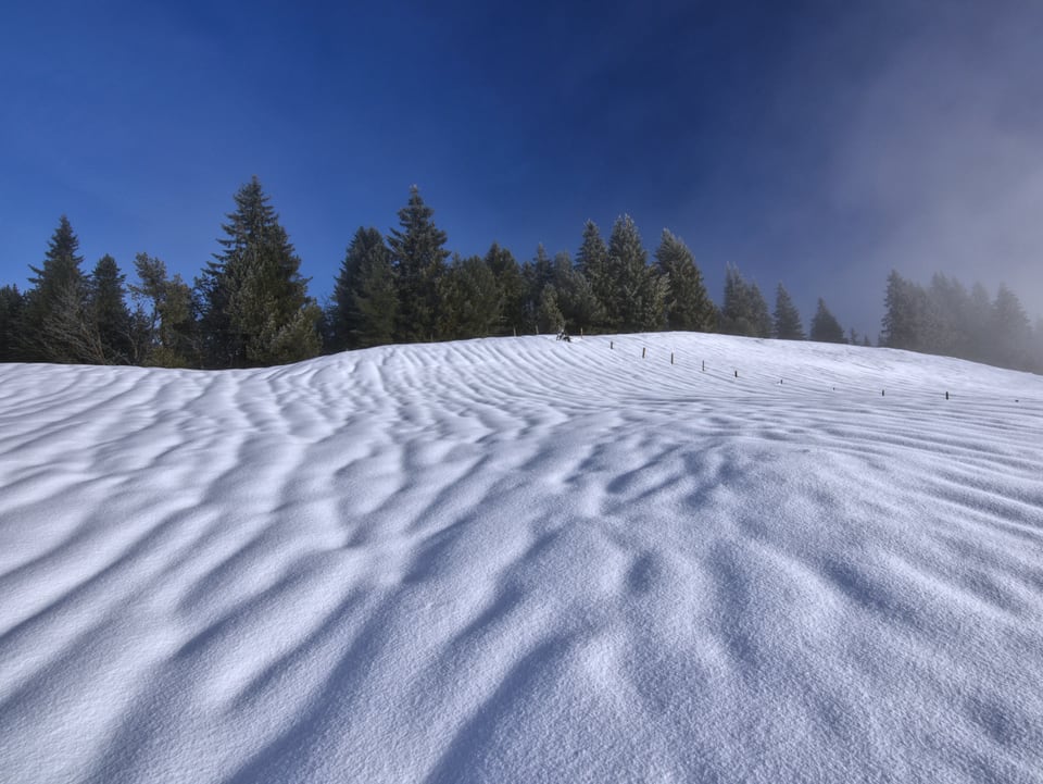 Schöne Rillem im Schnee.