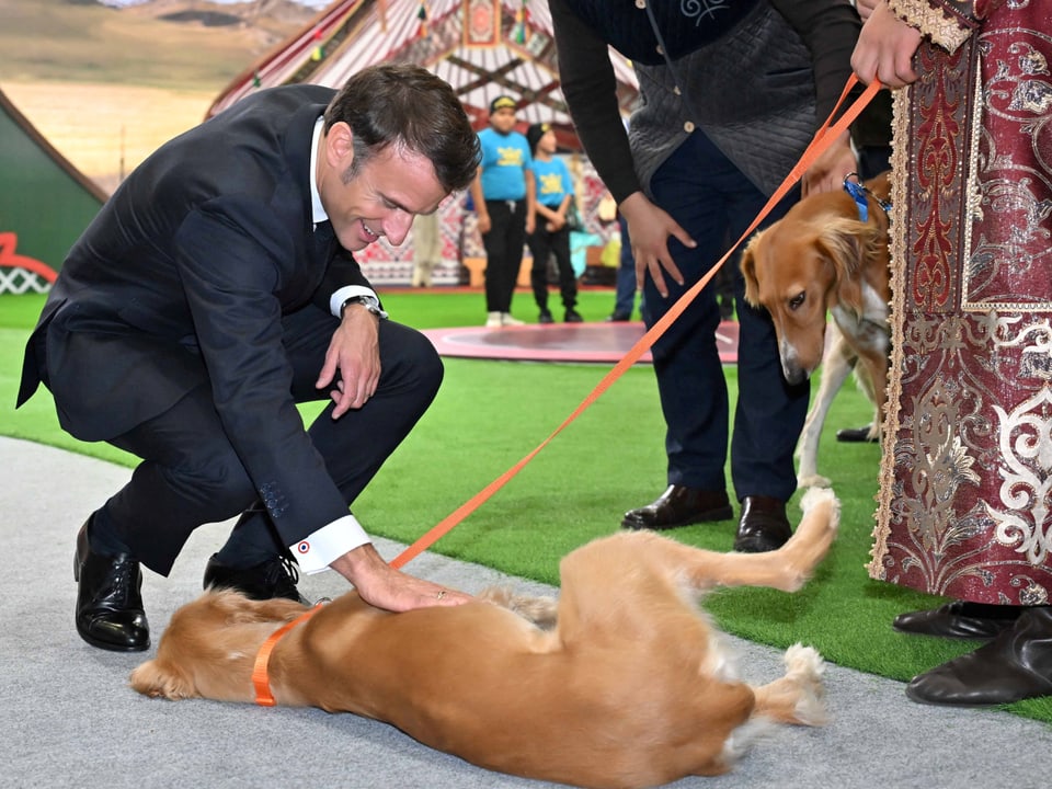 Macron streichelt einen Hund, der sich auf dem Boden wälzt.. 