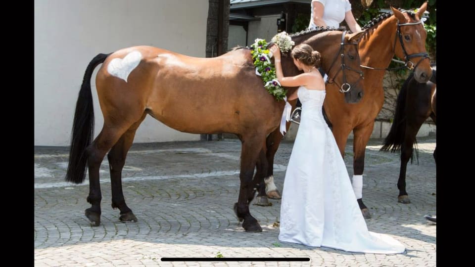Eine Frau in einem Hochzeitskleid streichelt ein Pferd.