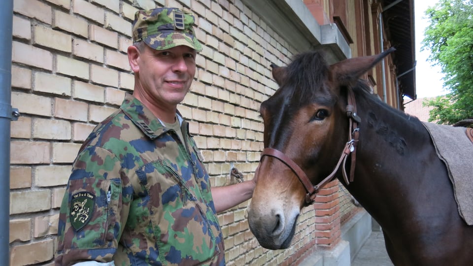 Kommandant Jörg Liechti mit einem Freiberger Pferd