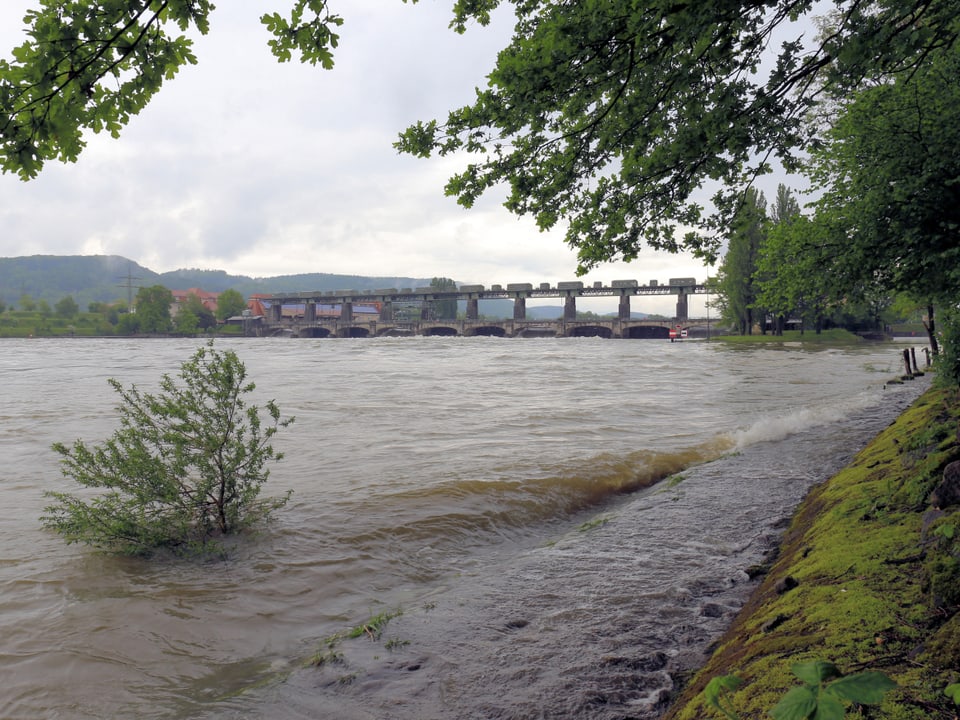 Überfluteter Rheinuferweg