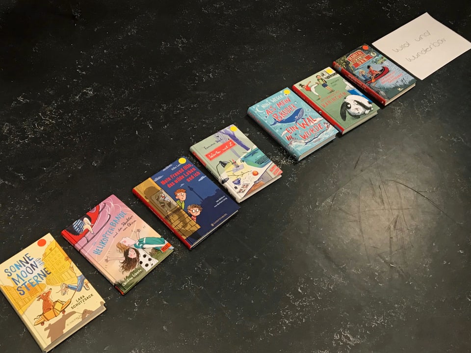 Acht Bücher liegen auf dem Boden in einer Reihe