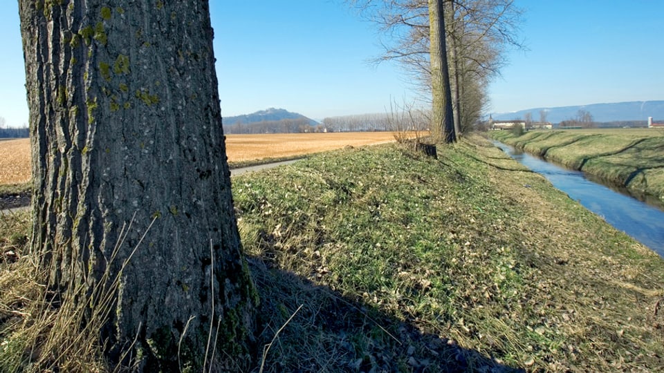 Im Aargau flammt der Streit über den nötigen Abstand von Gewässern zu Agrar- und Bauland erneut auf.