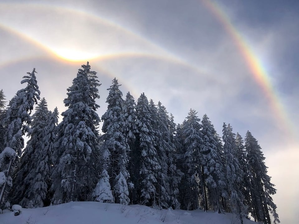 Ein Halo entsteht, wenn sich die Sonnenstrahlen an Eiskristallen brechen oder spiegeln.