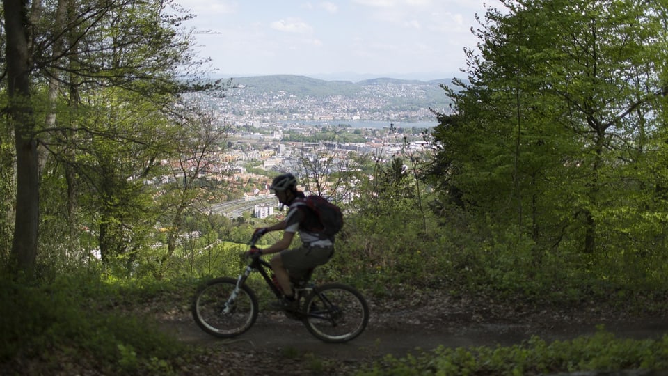 Mountainbike-Trail in Zürich