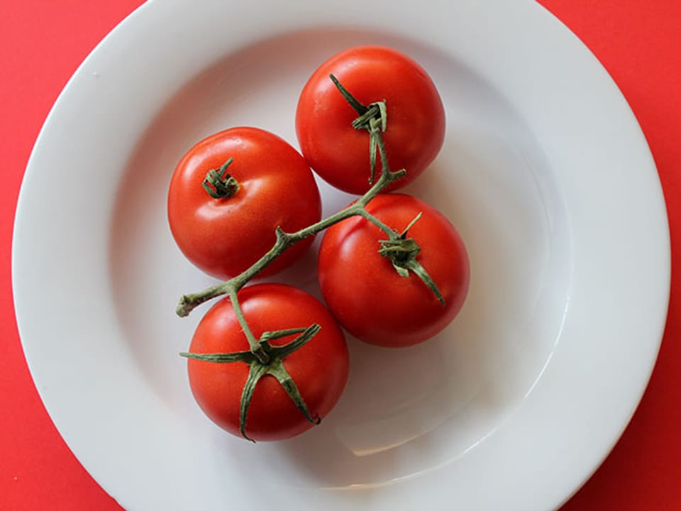 Vier Tomaten auf einem Teller.