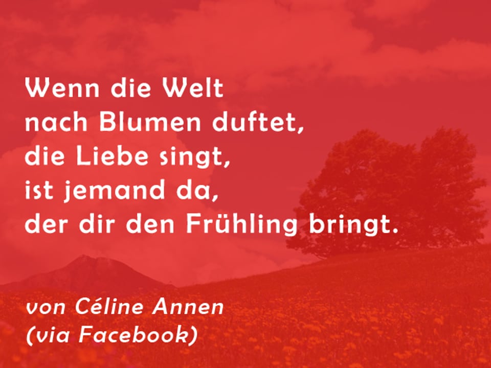 Gedicht von Céline Annen: Wenn die Welt nach Blumen duftet, die Liebe singt, ist jemand da, der dir den Frühling bringt.