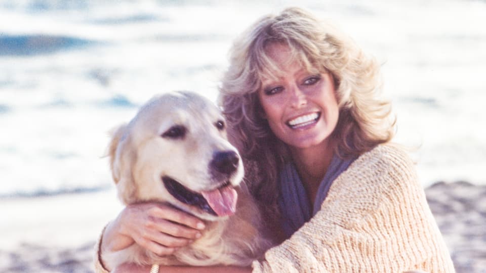 Farrah Fawcett mit voluminösem Haar am Strand mit einem Hund.
