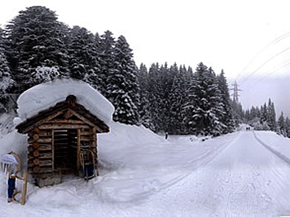Eine Wanderung im Schnee von Arosa nach Litzirüti.
