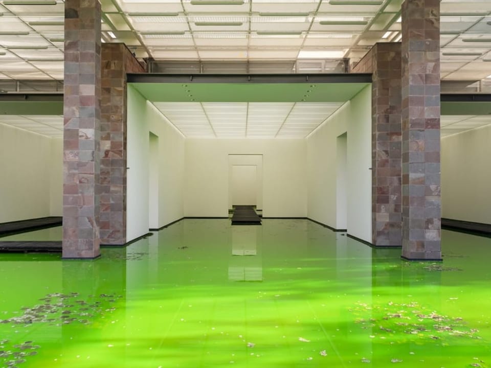 Grünes Wasser im Museum drinnen am Boden.