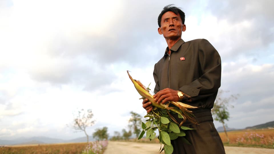 Ein knochiger Mann hält auf einem Feld einen Maiskolben in den Händen