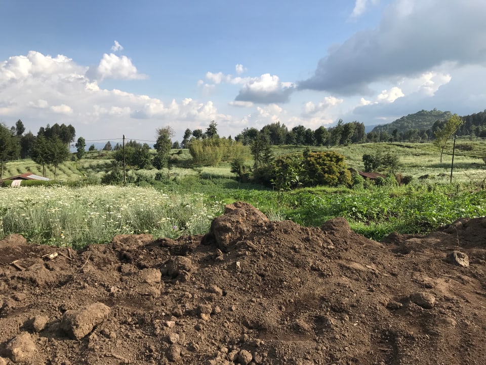 Im Vordergrund ist eine künstlich hervorgehobene Grube, dahinter die grasgrüne Landschaft.