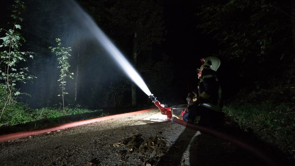 Feuerwehrmänner spritzen Wasser im Wald bei Nacht.