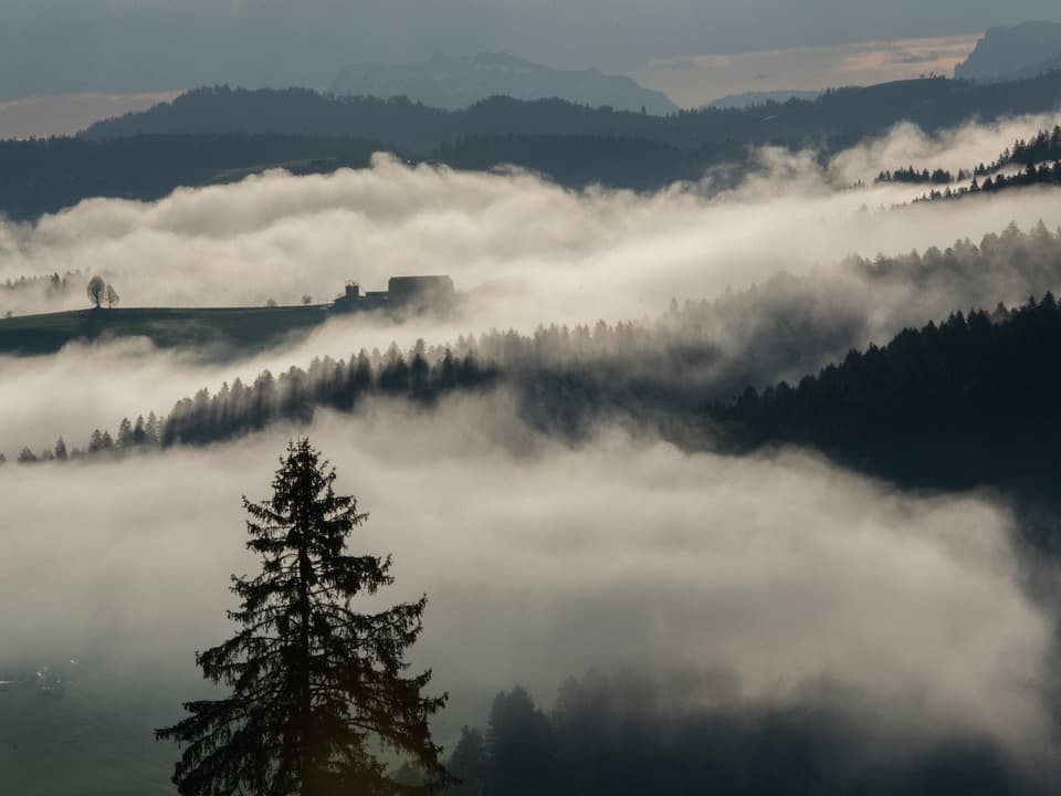 Nebelschwaden hängen in den bewaldeten Tälern des Emmentals.
