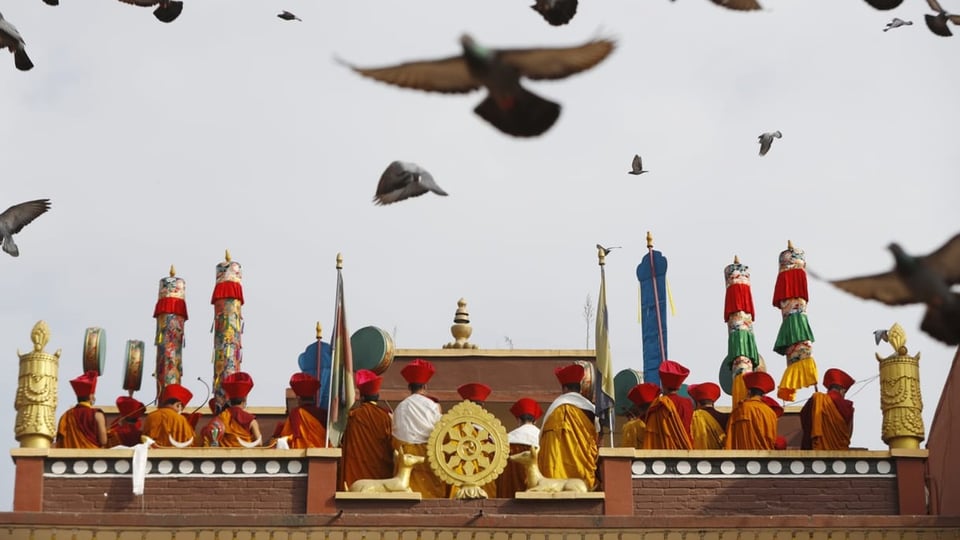 Buddhismus: Missbrauch im Namen der Erleuchtung Buddhismus: Missbrauch im Namen der Erleuchtung