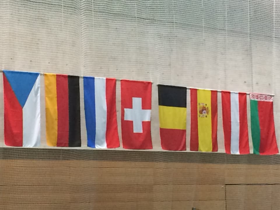 Fahnen verschiedener Länder.