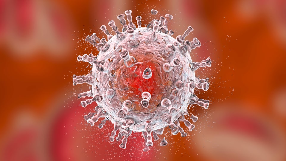 Schematische Darstellung des HI-Virus.
