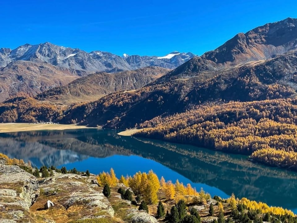 Maloja/GR Blick auf den Silsersee unter wolkenlosem Himmel