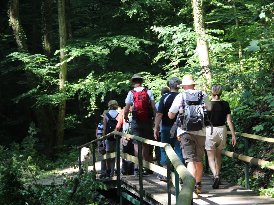 Gruppe wandert über Holzbrücke im Wald.