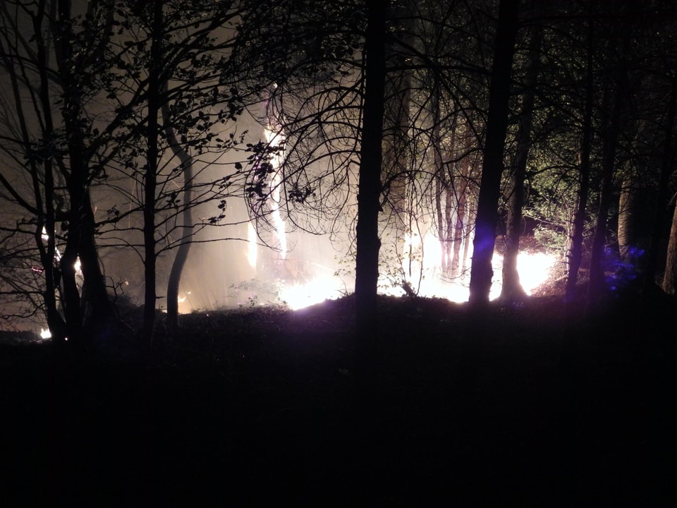 Nachtaufnahme eines Waldbrandes.