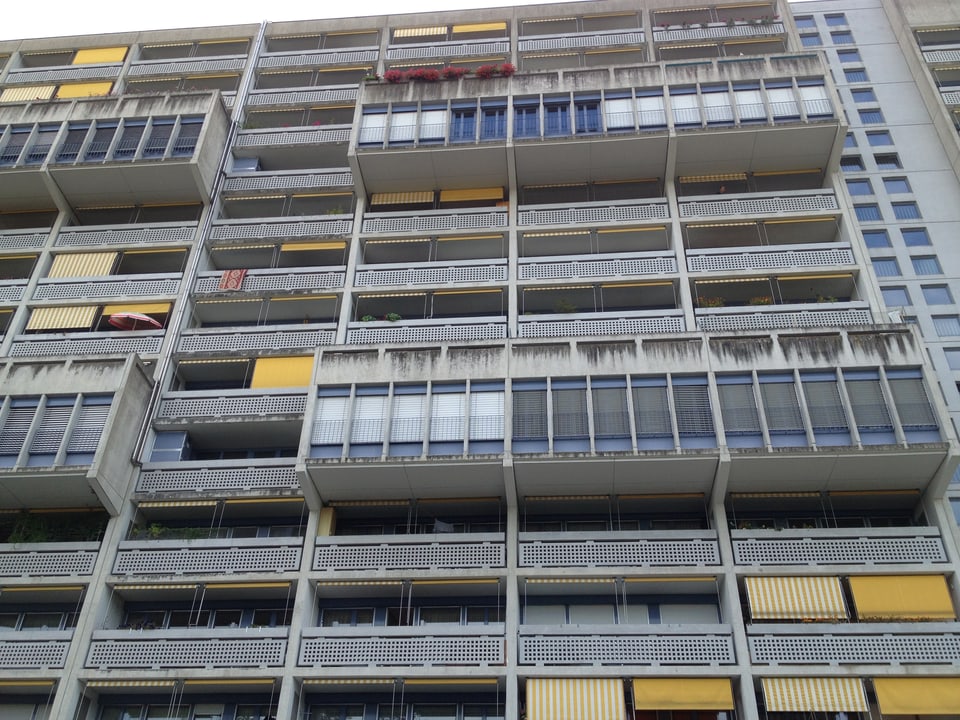 Blick auf die  Wohnsiedlung Unteraffoltern mit vielen engen Balkonen mit grauen Geländern.