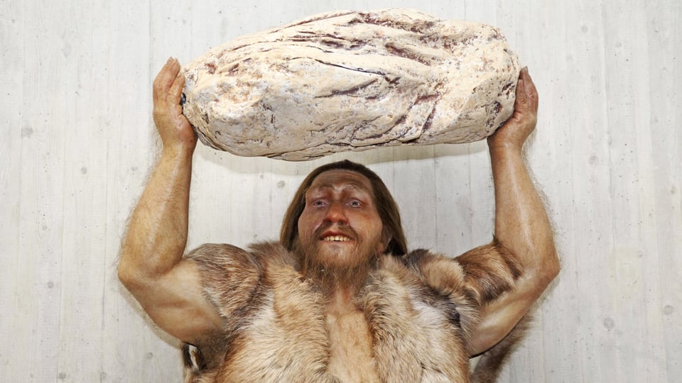 Nachbildung eines Neandertalers, der einen grossen Stein über dem Kopf trägt.