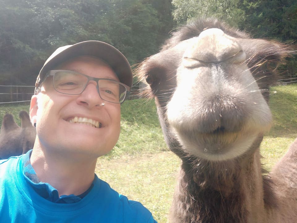 Mann und Kamel grinsen