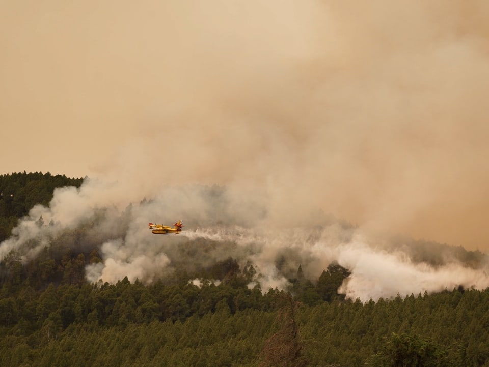 Flugzeug sprüht Wasser über brennenden Wald
