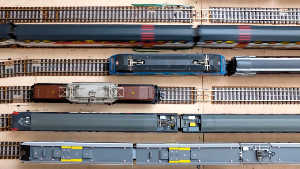 Fünf Züge auf Gleisen nebeneinander.